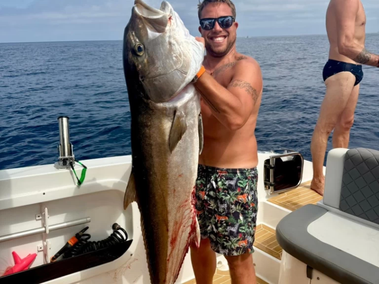 Motorová loď k pronájmu v Marina di Portisco za nejlepší cenu