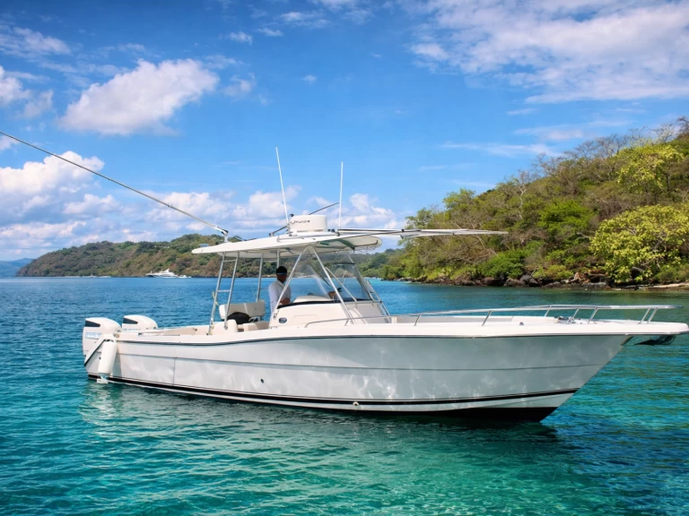 Pursuit Pursuit 32 jednotlivci a charterové společnosti v Coco Bay