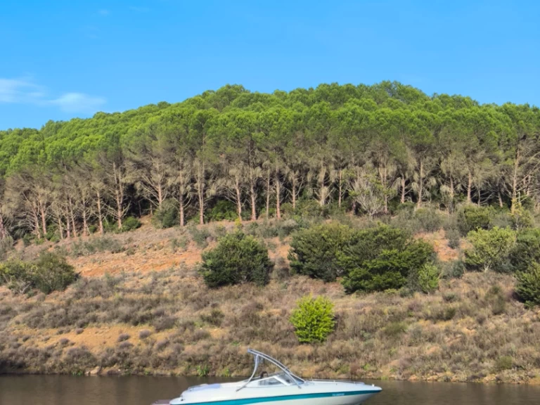 Pronájem lodi Ferragudo lákavé ceny SSV 215