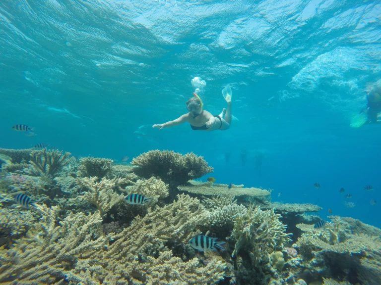 Pronajmout si  Custom Built  444 v Sharm el-Sheikh