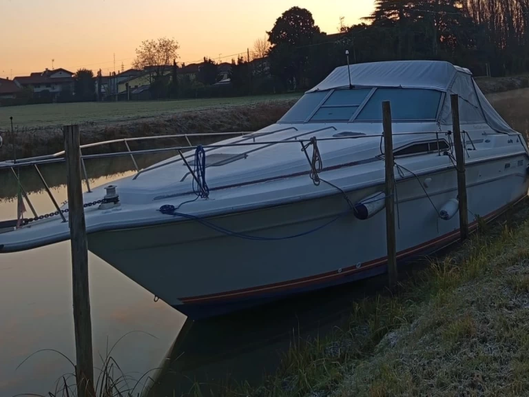 Pronajmout Jachta se skipperem či ne Sea Ray v Venice