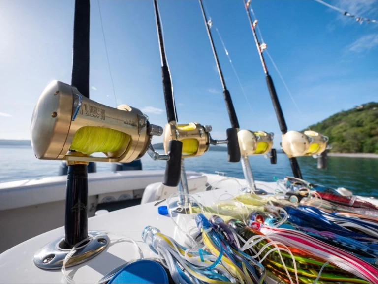 Motorová loď k pronájmu v Coco Bay za nejlepší cenu