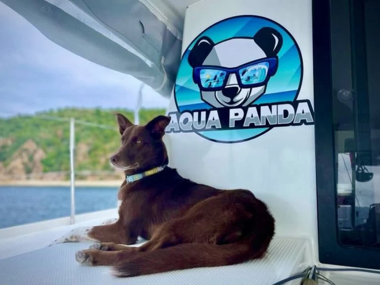 Pronájem Katamarán v Kingstown -Fountaine Pajot Lucia 40