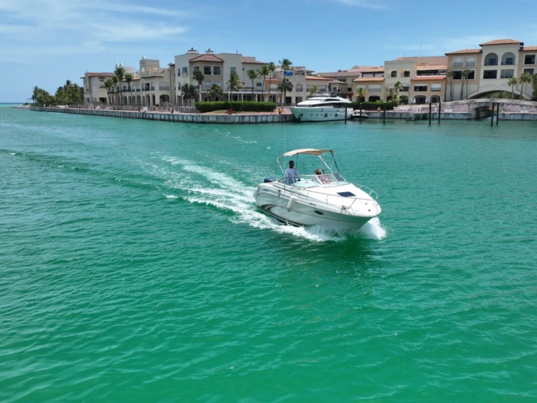 Pronájem Motorová loď Custom s licencí