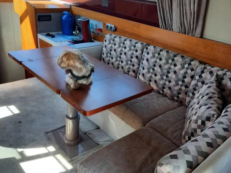 Pronájem Motorová loď v Pula -Riva rivarama 44