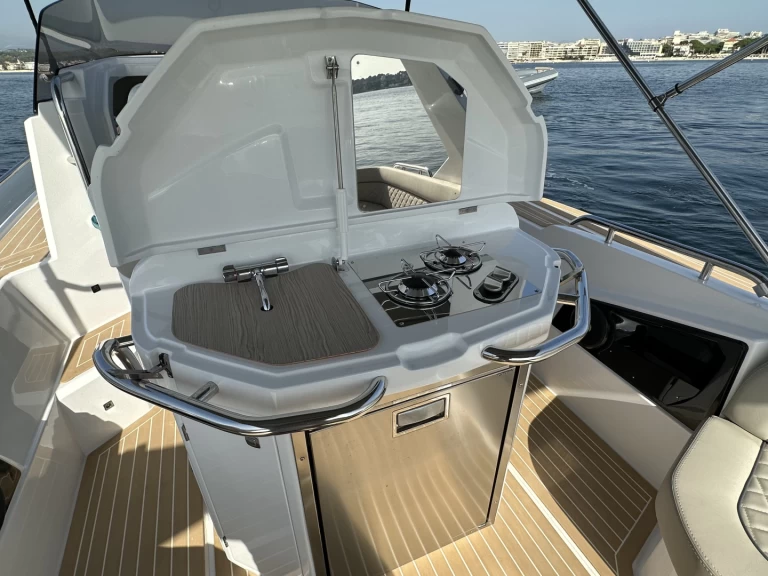 Salpa salpa 33 jednotlivci a charterové společnosti v Juan-les-Pins