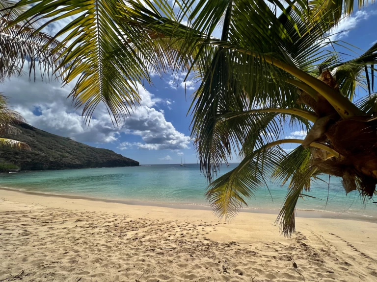 Pronájem Plachetnice Pogo Structures s licencí