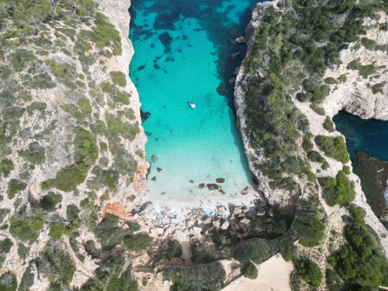 Protender Xs 470 jednotlivci a charterové společnosti v Cala Figuera