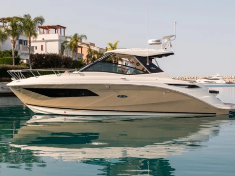 Pronájem Motorová loď Sea Ray s licencí