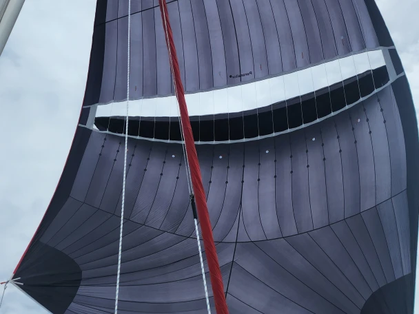 Neel Neel 43 jednotlivci a charterové společnosti v Carloforte