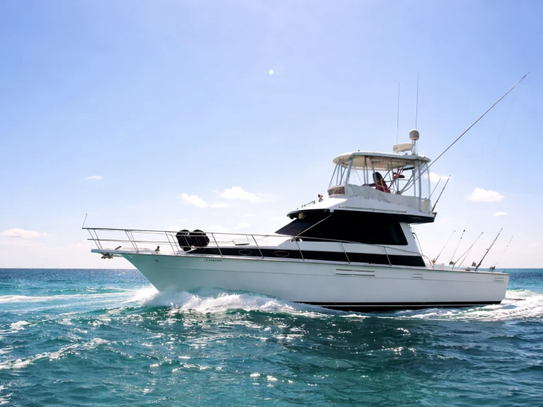 Pronájem lodi Custom Custom v Bávaro na Samboatu