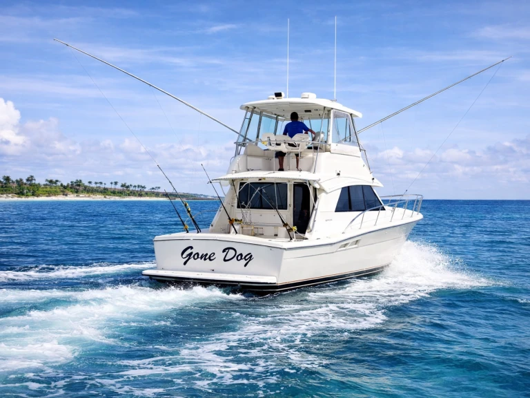 Motorová loď k pronájmu v Bávaro za nejlepší cenu