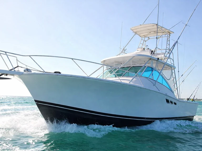 Pronájem Motorová loď Custom Made s licencí