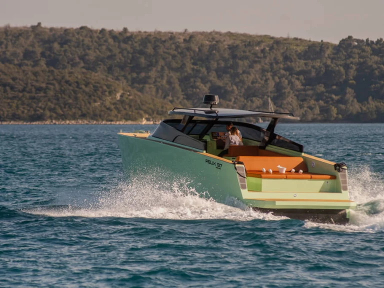 Pronájem Motorová loď Felix s licencí