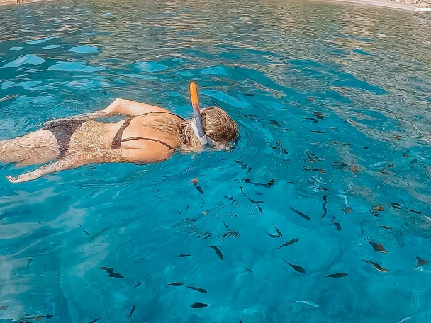 Okiboats Barracuda 545 Open jednotlivci a charterové společnosti v Club Nàutic Ca'n Picafort