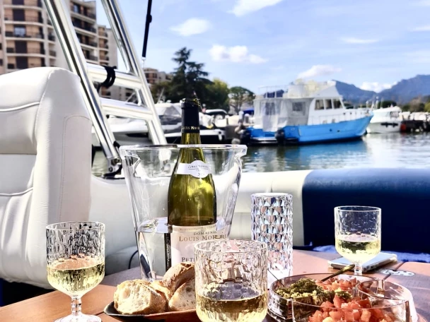 Pronájem Motorová loď Crownline s licencí