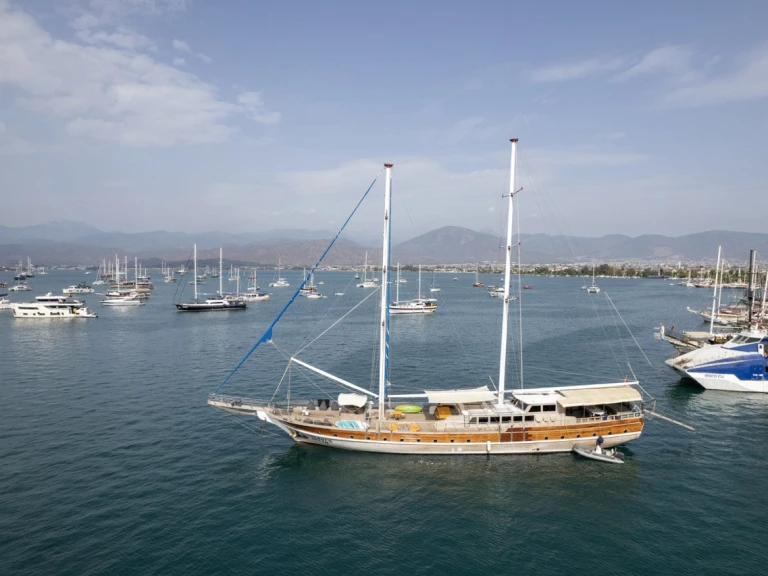 Pronájem Plachetnice  s licencí