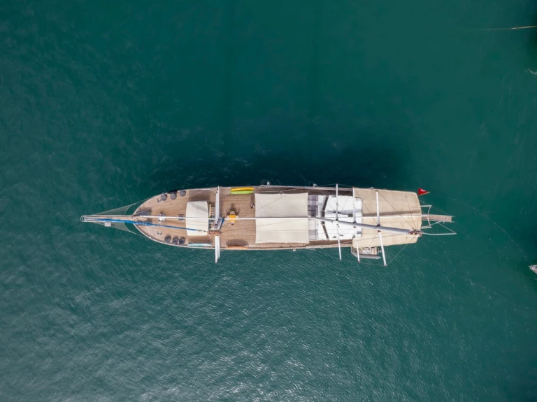 Pronájem Plachetnice  s licencí