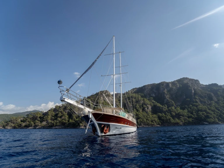 Pronájem Plachetnice  s licencí