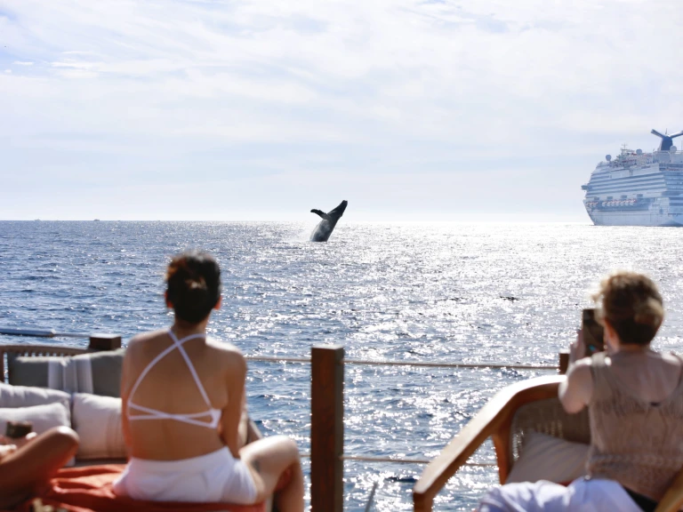 Pronájem lodi Custom Made 36 v Cabo San Lucas na Samboatu