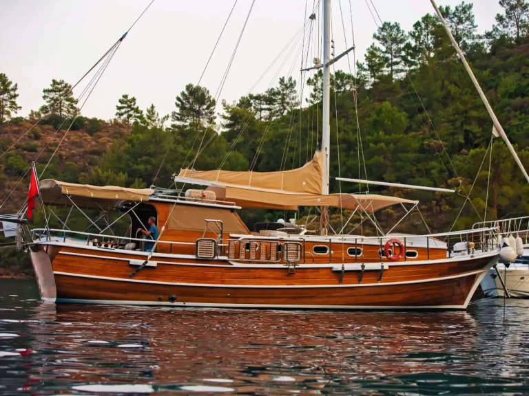 Pronajmout Plachetnice se skipperem či ne Custom v Göcek 