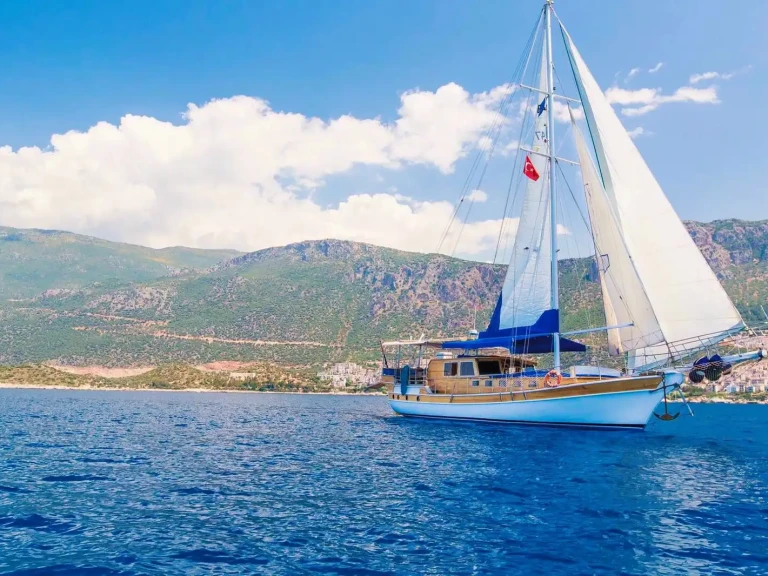 Pronájem Plachetnice Custom s licencí