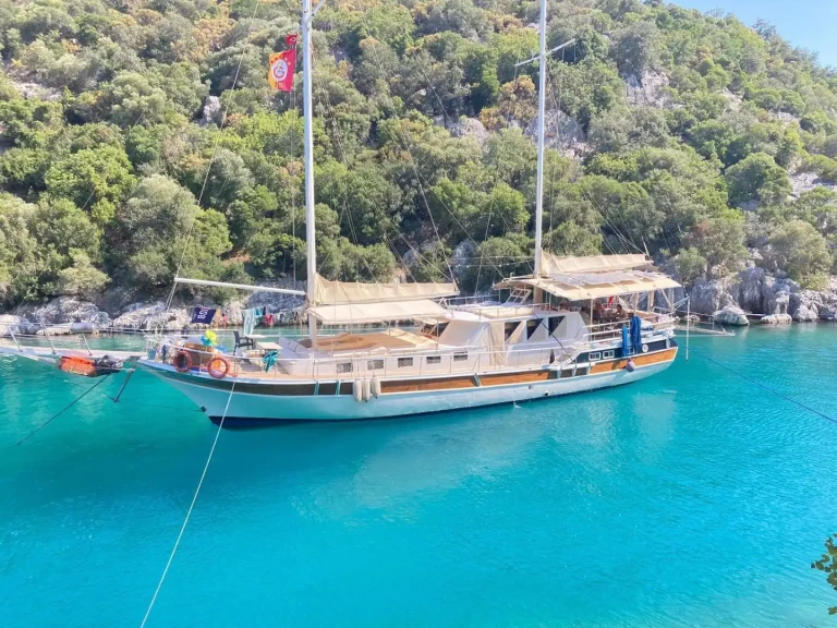 Pronájem Plachetnice Custom s licencí