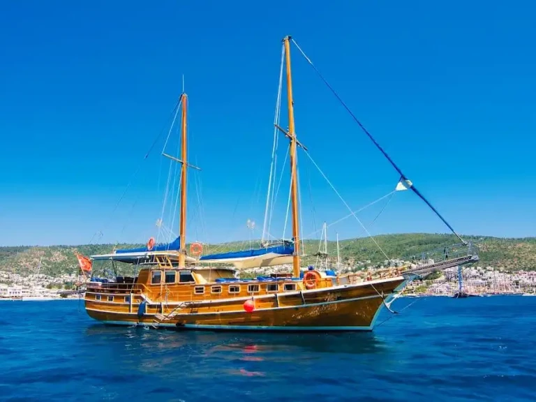 Pronájem Plachetnice Custom s licencí