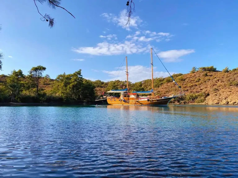 Pronájem Plachetnice Custom s licencí