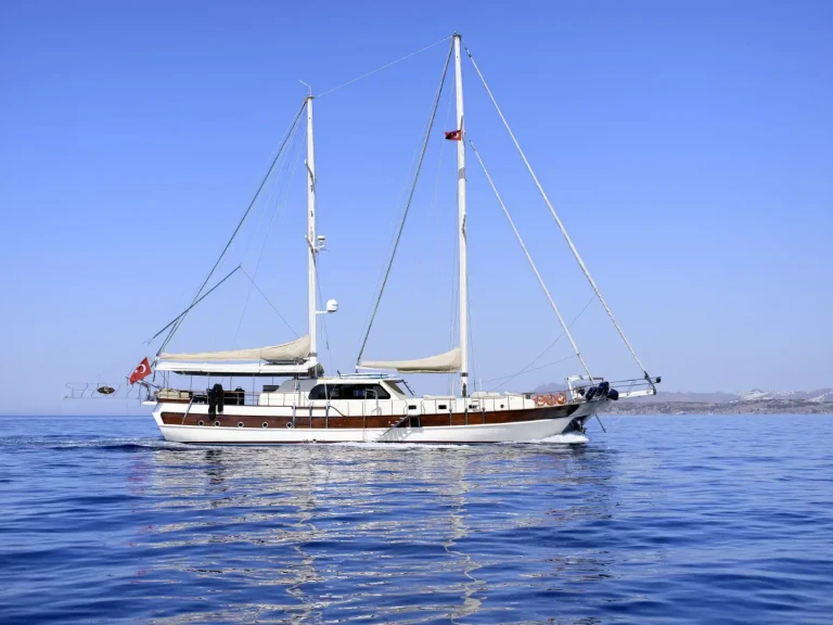 Pronájem Plachetnice Custom s licencí