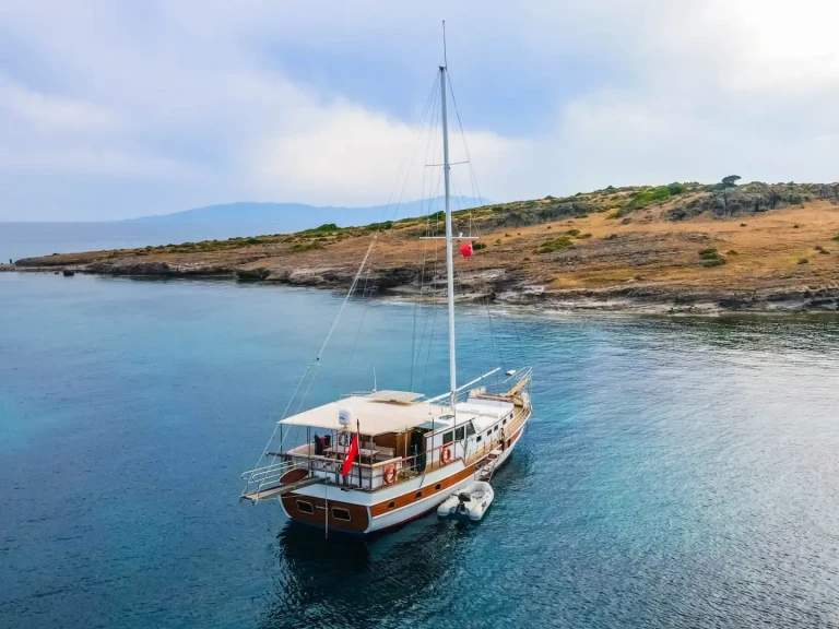 Pronájem Plachetnice Custom s licencí