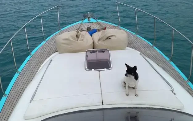 Custom Made jednotlivci a charterové společnosti v Antalya (City)