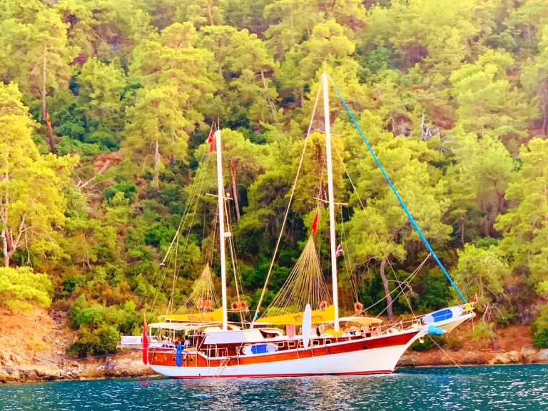 Pronájem Plachetnice Custom s licencí