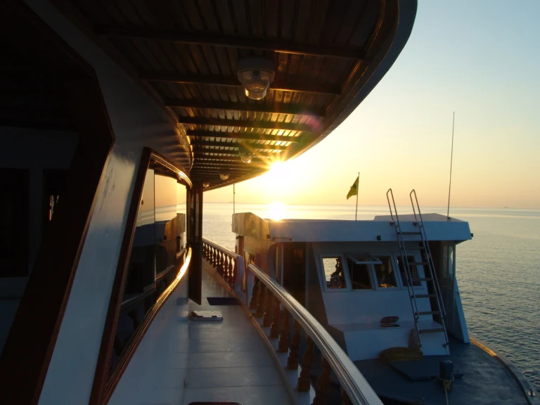 Pronajmout Motorová loď se skipperem či ne  v Hulhumale