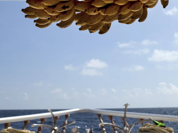 Pronájem Motorová loď v Hulhumale - Conte Max - Cabin (triple-1 double bed + 1 single bed)