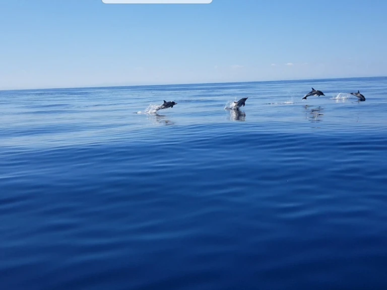 Pronájem jachty v Anglet -Jeanneau Merry Fisher 925 Fly na Samboatu