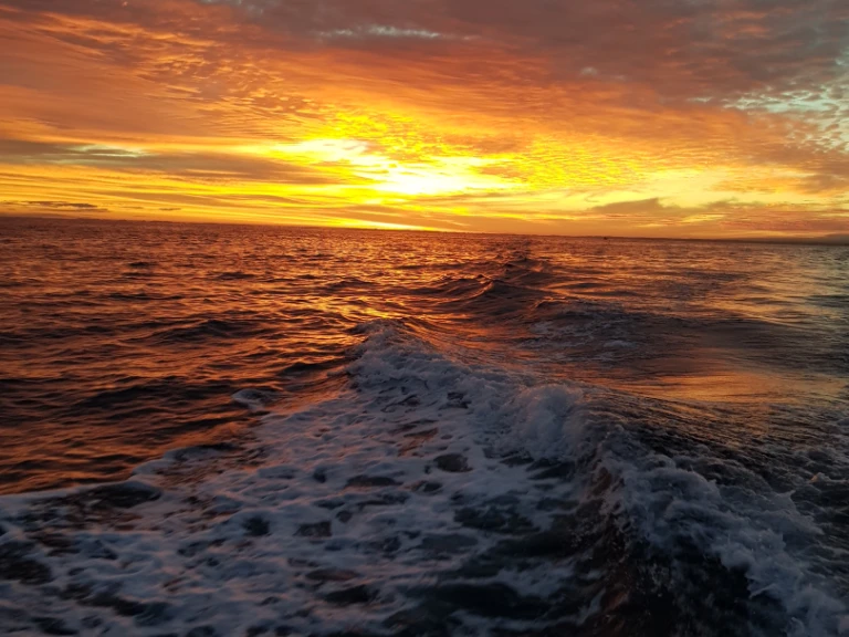 Pronajmout si Jeanneau Merry Fisher 925 Fly v Anglet