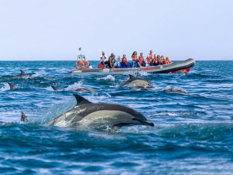 Narwhal 88 jednotlivci a charterové společnosti v Lagos