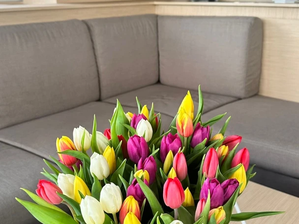 Pronájem lodi Fountaine Pajot Fountaine Pajot Samana 59 - 6 + 2 cab v Procida na Samboatu