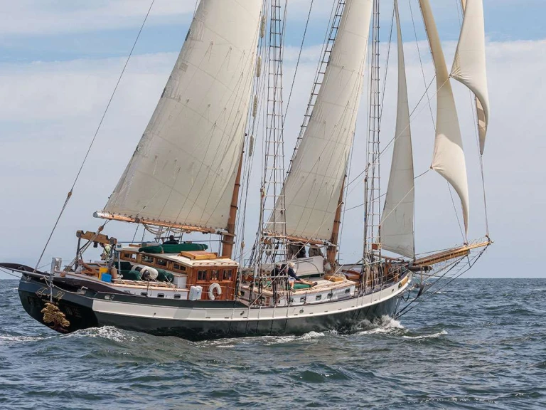 Pronajmout si Covey Island Boatworks TREE OF LIFE v Newport