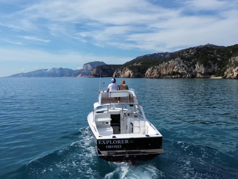 Pronájem Motorová loď Bertram s licencí