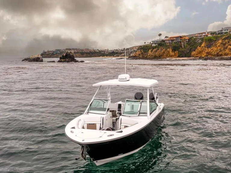 Pronájem lodi Blackfin 272 DC  v West Palm Beach na Samboatu