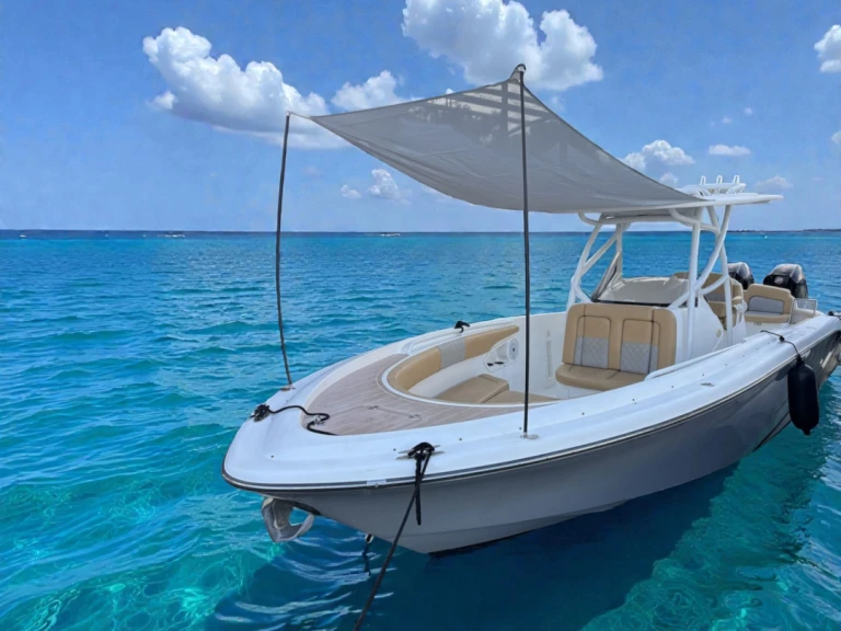 Pronajmout si Pronautica 880 Open Sport v Port d'Alcudia