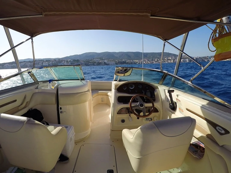 Pronájem Motorová loď v Santa Ponsa -Sea Ray Sea Ray 260