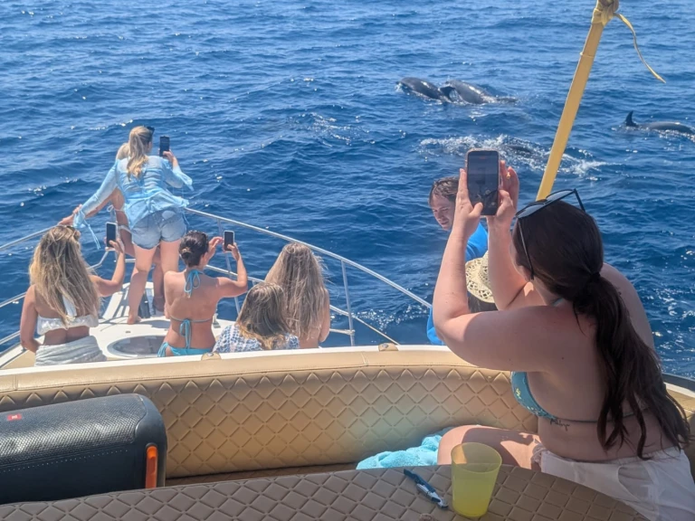 Doqueve Majestic jednotlivci a charterové společnosti v Fuengirola