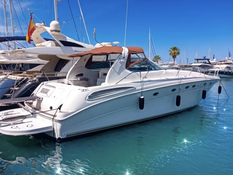 Pronajmout Motorová loď se skipperem či ne Sea Ray v Port de Pollenca