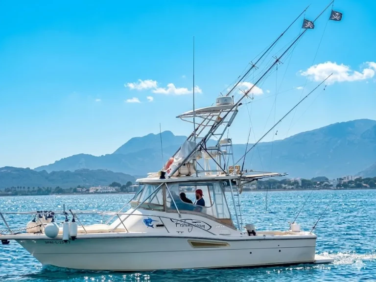 Pronájem lodi Port de Pollenca lákavé ceny 3100 open