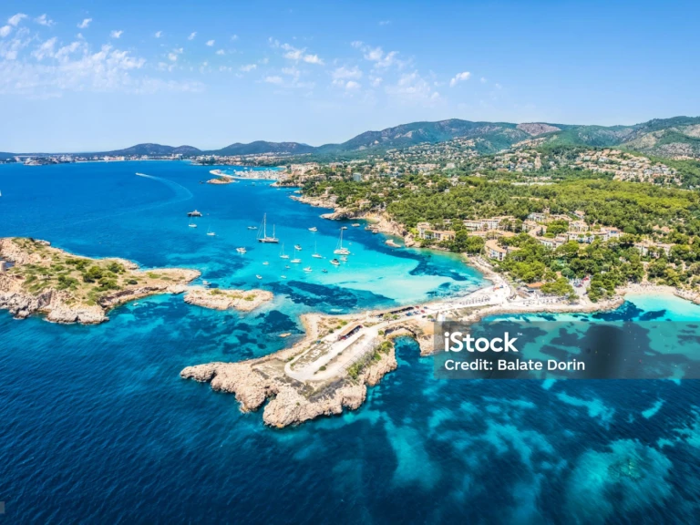 Four Winns H 260 jednotlivci a charterové společnosti v Palma de Mallorca