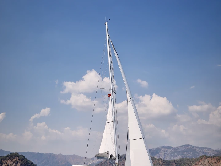 Leopard Leopard 40 jednotlivci a charterové společnosti v Tivat