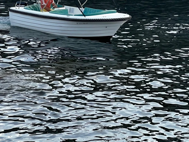 Pronájem Motorová loď Polyester Yacht s licencí